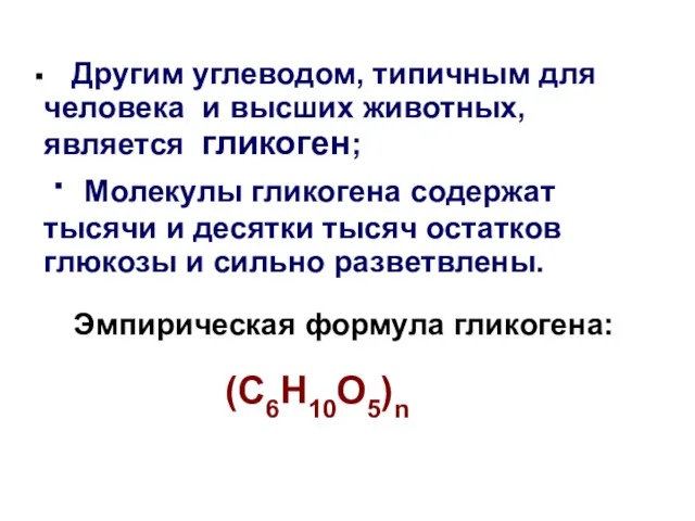 Другим углеводом, типичным для человека и высших животных, является гликоген; ∙ Молекулы гликогена