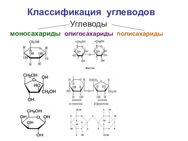 Классификация углеводов Углеводы моносахариды олигосахариды полисахариды
