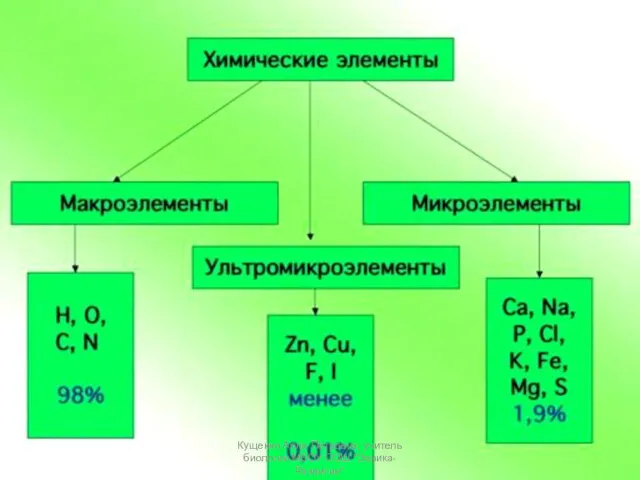 Кущенко Алла Петровна, учитель биологии МБОУ СОШ "Эврика-Развитие"