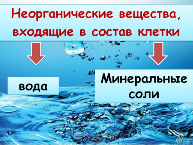 Неорганические вещества, входящие в состав клетки вода Минеральные соли Кущенко