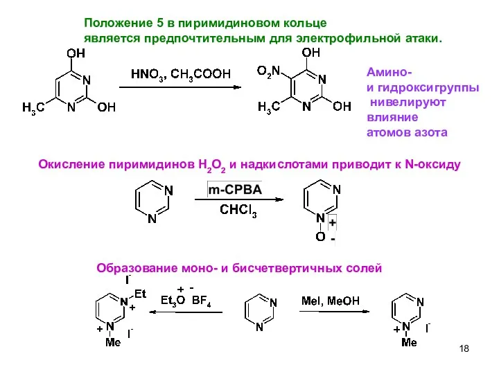 4 Окисление пиримидинов H2O2 и надкислотами приводит к N-оксиду Положение