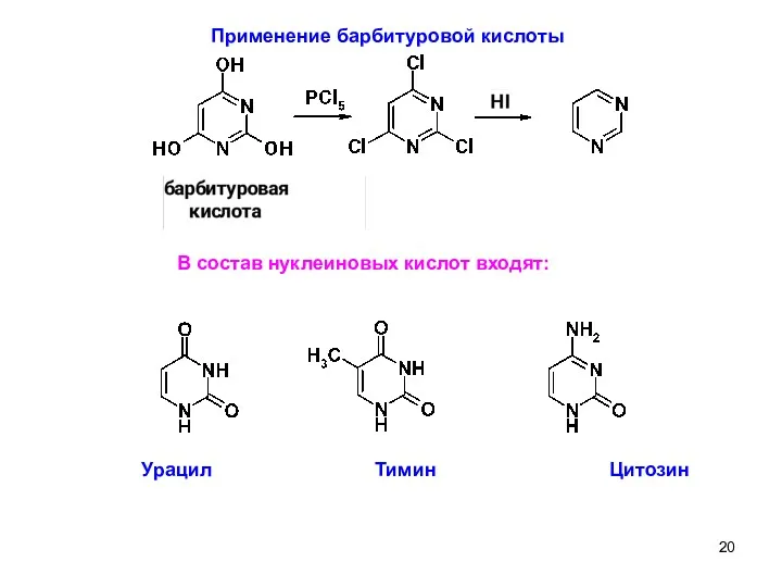 6 Применение барбитуровой кислоты В состав нуклеиновых кислот входят: Урацил Тимин Цитозин