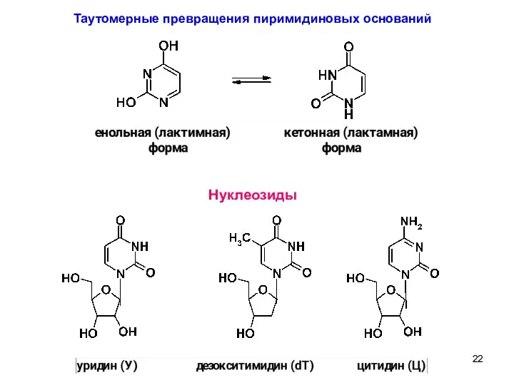 9 Таутомерные превращения пиримидиновых оснований Нуклеозиды