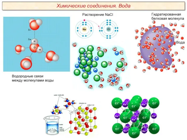 Химические соединения. Вода