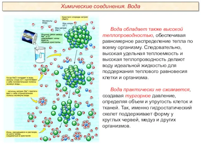 Вода обладает также высокой теплопроводностью, обеспечивая равномерное распределение тепла по