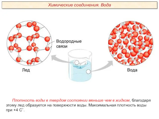 Плотность воды в твердом состоянии меньше чем в жидком, благодаря