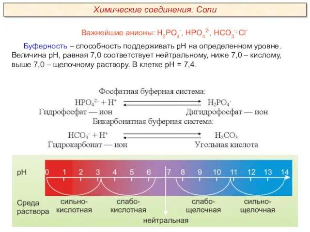 Важнейшие анионы: Н2РО4-, НРО42-, НСО3-, Сl- Буферность – способность поддерживать