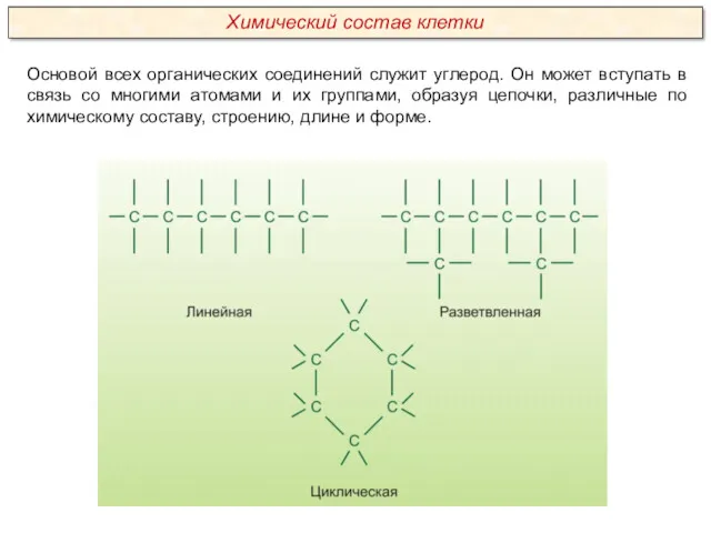 Основой всех органических соединений служит углерод. Он может вступать в