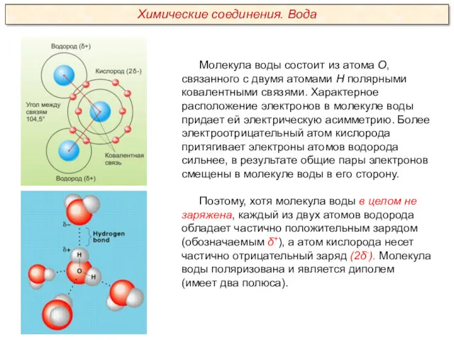 Молекула воды состоит из атома О, связанного с двумя атомами