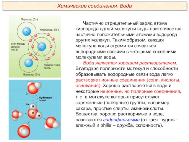 Частично отрицательный заряд атома кислорода одной молекулы воды притягивается частично