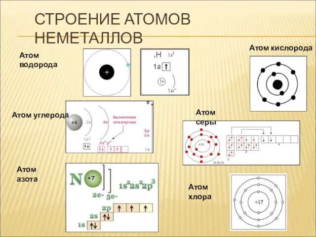 СТРОЕНИЕ АТОМОВ НЕМЕТАЛЛОВ Атом водорода Атом углерода Атом серы Атом азота Атом хлора Атом кислорода