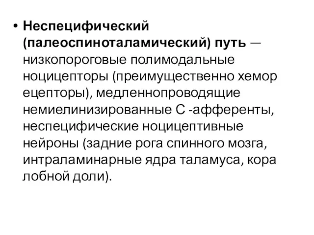 Неспецифический (палеоспиноталамический) путь — низкопороговые полимодальные ноцицепторы (преимущественно хемор ецепторы),