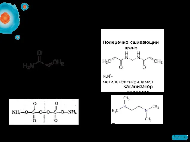 Гели для электрофореза (ПААГ) Исходные материалы Акриламид N,N’-метиленбисакриламид Персульфат аммония