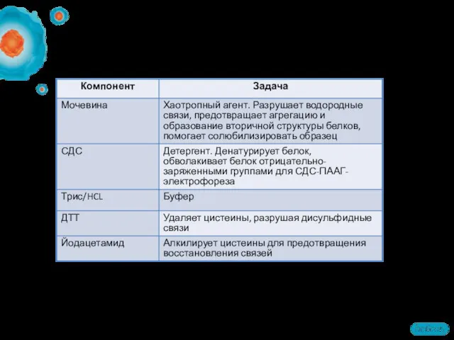 Уравновешивание образцов после ИЭФ