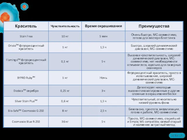 Выбор метода окрашивания