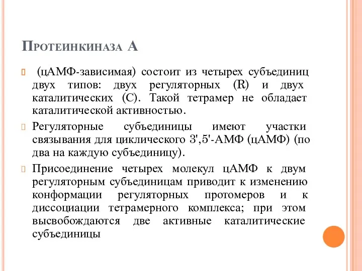 Протеинкиназа А (цАМФ-зависимая) состоит из четырех субъединиц двух типов: двух