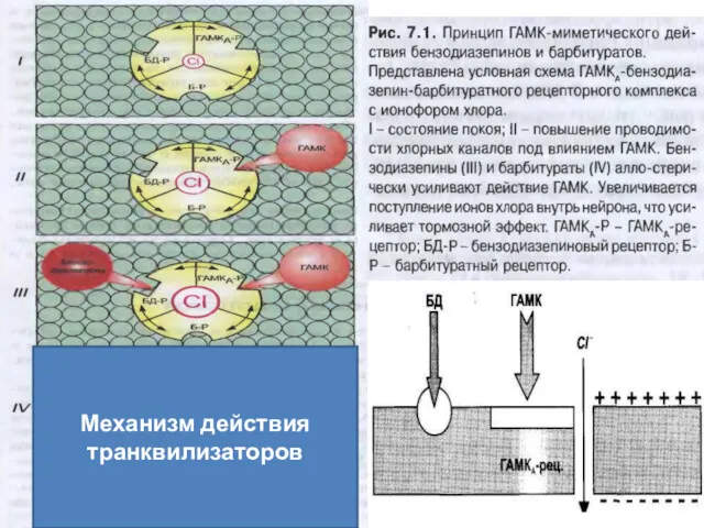 Механизм действия транквилизаторов