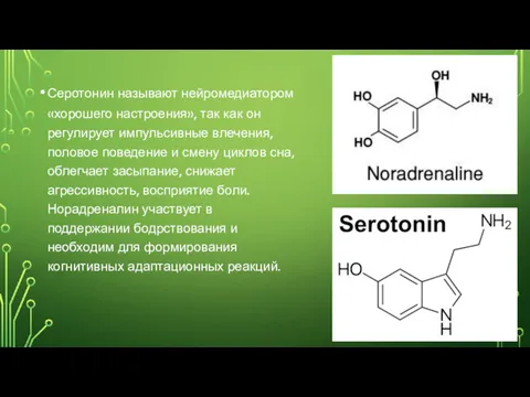 Серотонин называют нейромедиатором «хорошего настроения», так как он регулирует импульсивные