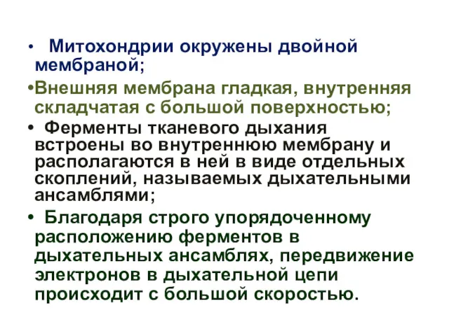 Митохондрии окружены двойной мембраной; Внешняя мембрана гладкая, внутренняя складчатая с