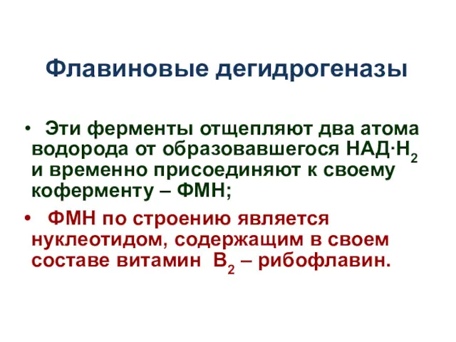 Флавиновые дегидрогеназы Эти ферменты отщепляют два атома водорода от образовавшегося