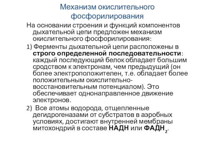 Механизм окислительного фосфорилирования На основании строения и функций компонентов дыхательной