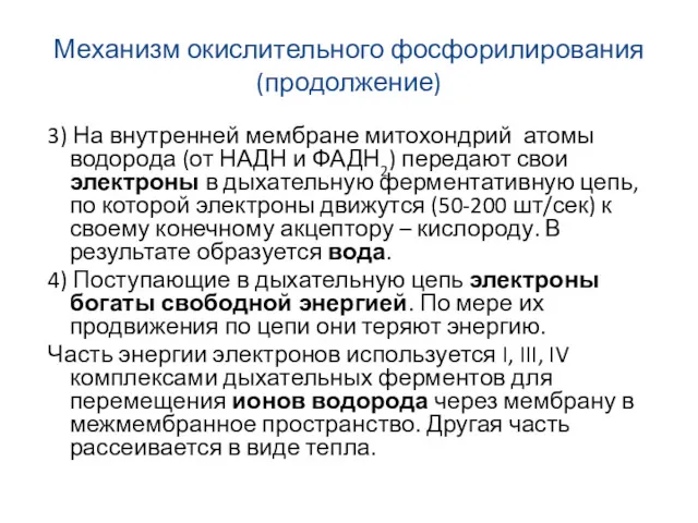 Механизм окислительного фосфорилирования (продолжение) 3) На внутренней мембране митохондрий атомы