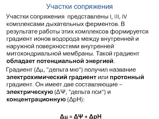 Участки сопряжения Участки сопряжения представлены I, III, IV комплексами дыхательных