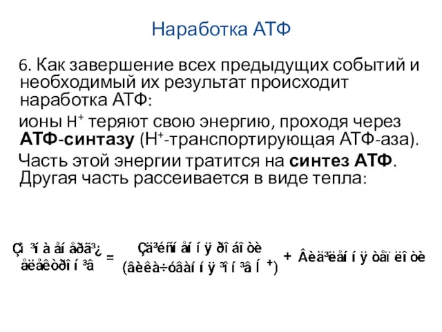 Наработка АТФ 6. Как завершение всех предыдущих событий и необходимый