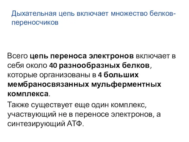 Всего цепь переноса электронов включает в себя около 40 разнообразных