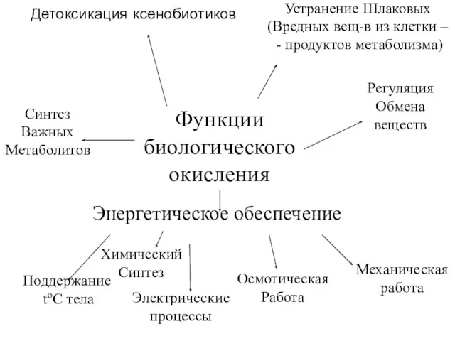 Детоксикация ксенобиотиков Регуляция Обмена веществ Устранение Шлаковых (Вредных вещ-в из