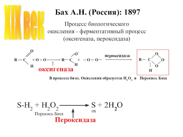 Бах А.Н. (Россия): 1897 S-H2 + H2O2 S + 2H2O