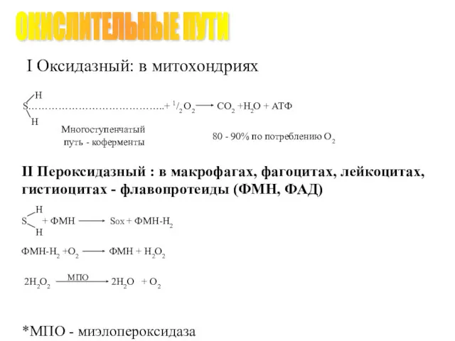 I Оксидазный: в митохондриях II Пероксидазный : в макрофагах, фагоцитах,