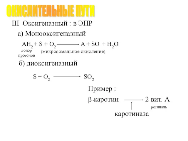 III Оксигеназный : в ЭПР а) Монооксигеназный б) диоксигеназный S + O2 SO2 ОКИСЛИТЕЛЬНЫЕ ПУТИ