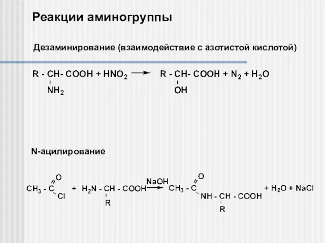 Реакции аминогруппы Дезаминирование (взаимодействие с азотистой кислотой) N-ацилирование