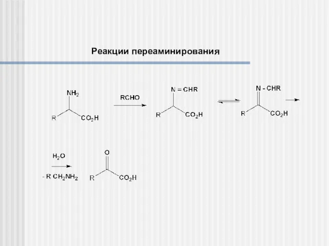 Реакции переаминирования