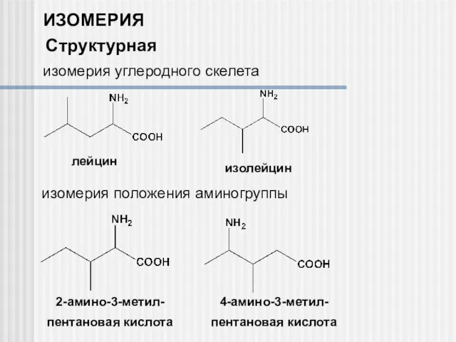 ИЗОМЕРИЯ Структурная лейцин изолейцин 2-амино-3-метил- пентановая кислота 4-амино-3-метил- пентановая кислота изомерия углеродного скелета изомерия положения аминогруппы