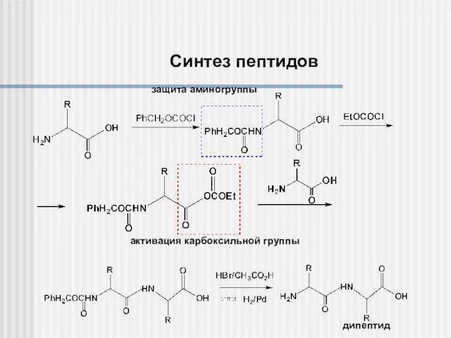 дипептид активация карбоксильной группы защита аминогруппы Синтез пептидов