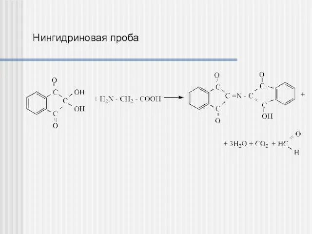 Нингидриновая проба