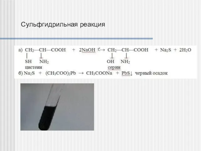 Сульфгидрильная реакция