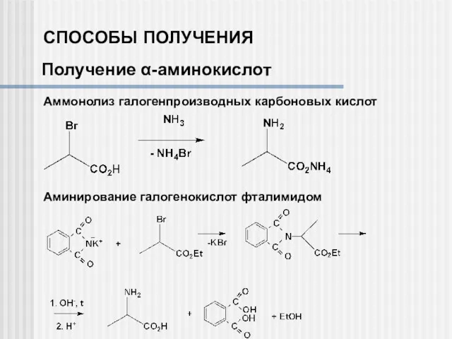 СПОСОБЫ ПОЛУЧЕНИЯ Получение α-аминокислот Аммонолиз галогенпроизводных карбоновых кислот Аминирование галогенокислот фталимидом