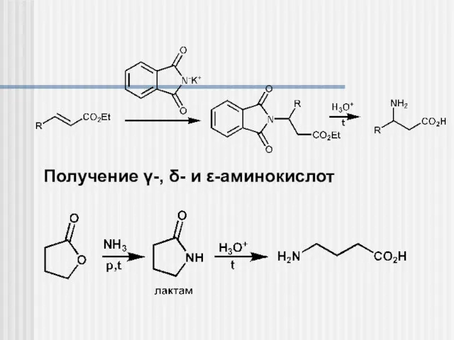 Получение γ-, δ- и ε-аминокислот