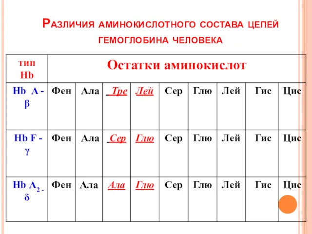 Различия аминокислотного состава цепей гемоглобина человека