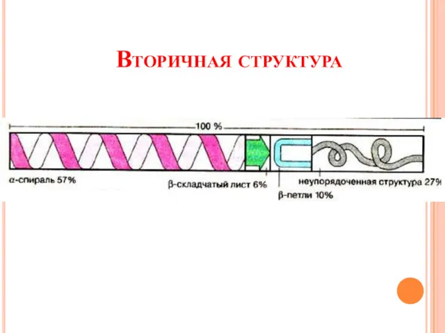 Вторичная структура