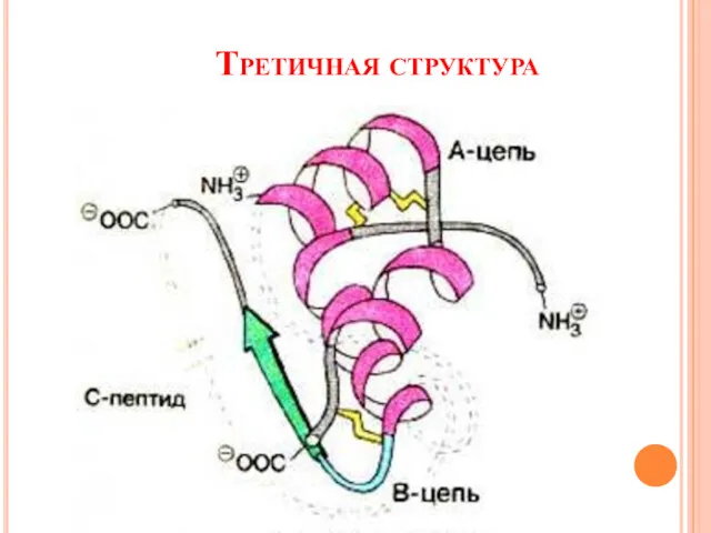 Третичная структура