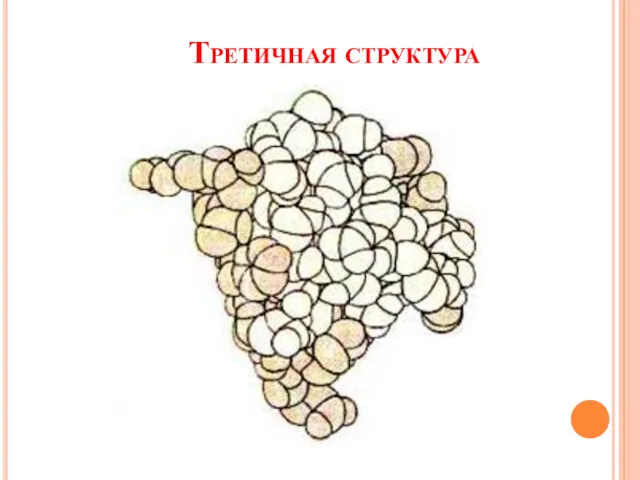 Третичная структура