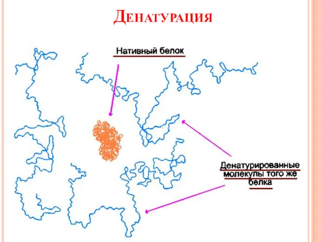 Денатурация