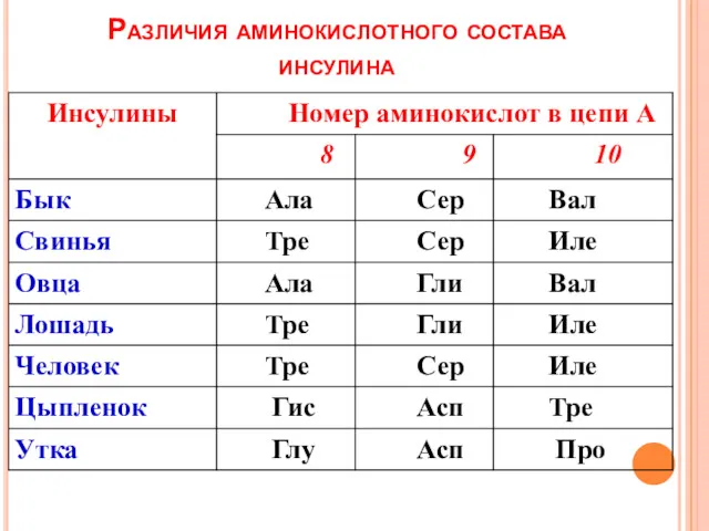 Различия аминокислотного состава инсулина