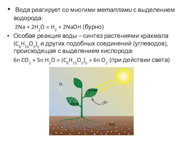 Вода реагирует со многими металлами с выделением водорода: 2Na +