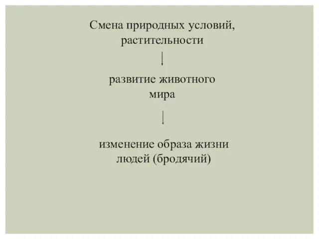 изменение образа жизни людей (бродячий) Смена природных условий, растительности развитие животного мира