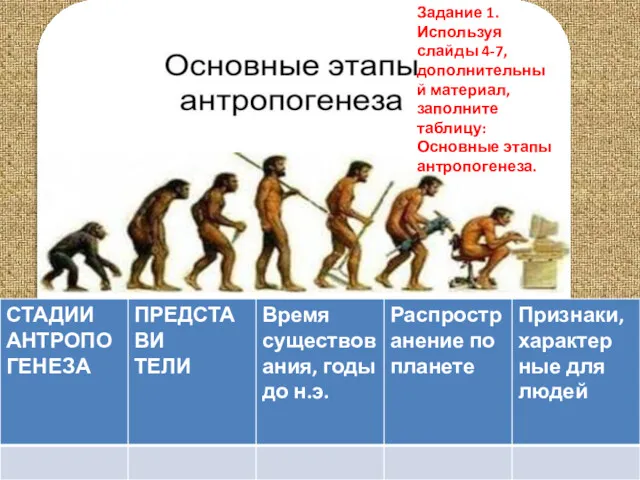 . Задание 1. Используя слайды 4-7, дополнительный материал, заполните таблицу: Основные этапы антропогенеза.